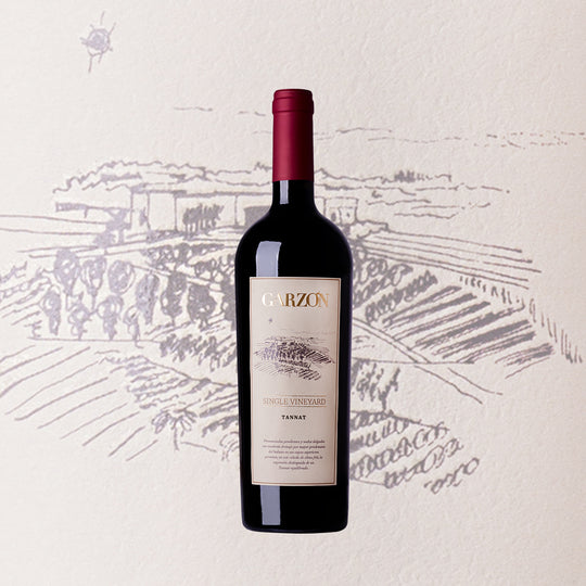 Garzon 'Single Estate' Tannat